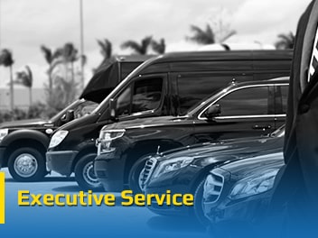 Executive Service