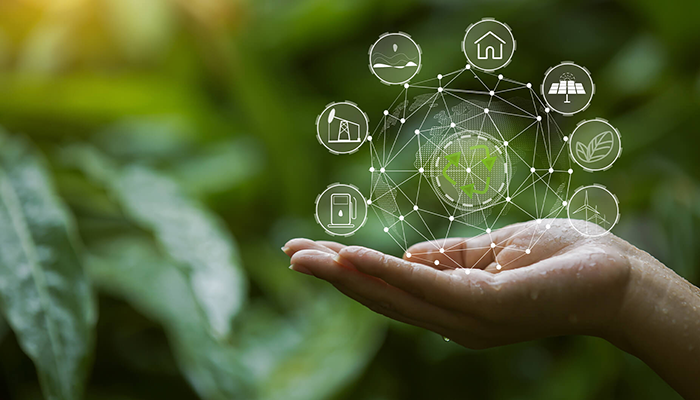 Carbon Offset Program