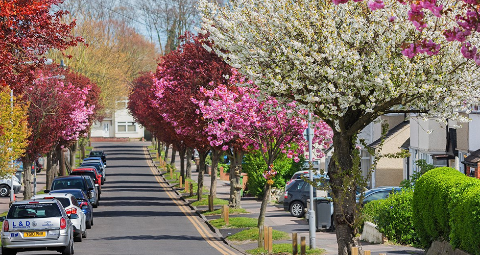 5 Fascinating Facts About Spring in Luton