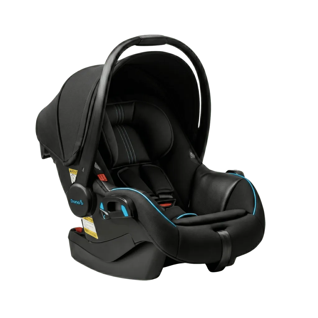 Rear Facing Seat